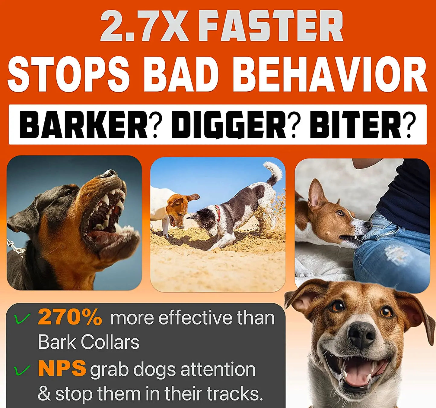 THE SMART BOOM™ DOG DETERRENT